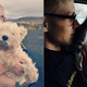 Illustration for article titled These Adorable Icelandic Cops Have the Best Instagram Account Ever